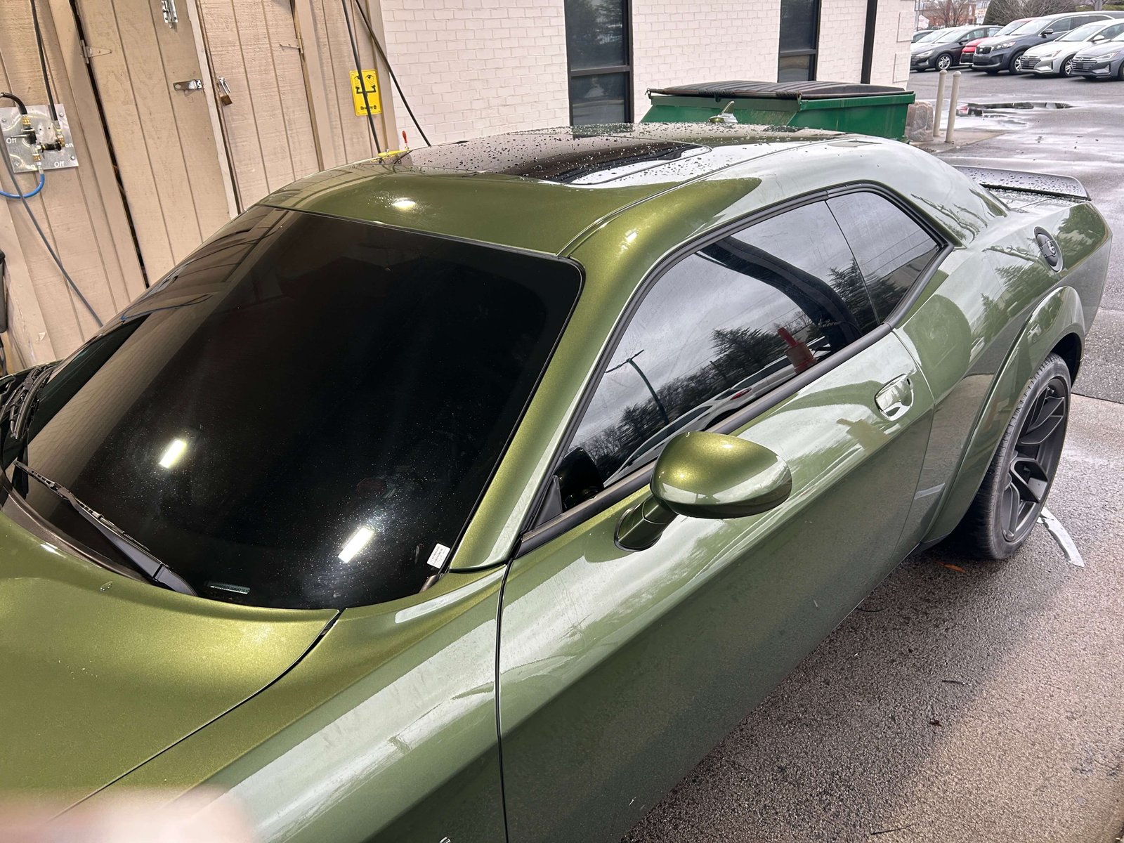 Full vehicle tint